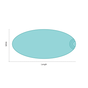 pool_oval.png